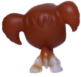 #0031 Spaniel